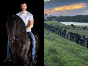 Gusttavo Lima vai a leilão e se diverte: "Saí de casa para tomar cachaça e comprei dois cavalos"