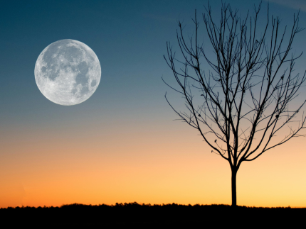 Hoje é noite de "Lua Cheia do Veado" – Aproveite a energia!