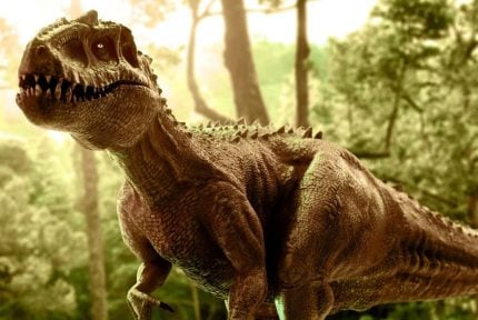 Pesquisadores encontram pegadas de dinossauros em Roraima: "Mais de 10 metros!"
