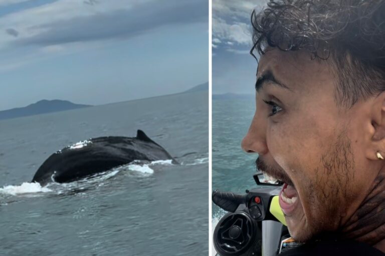 MC Livinho vê baleia em Ubatuba