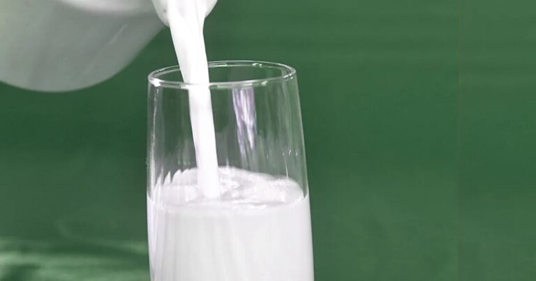 Lácteos devem registrar crescimento moderado em 2026