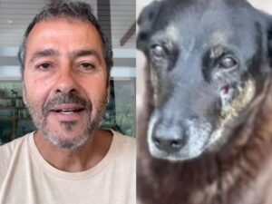Vídeo de Marcos Palmeira pedindo doações por cão Orelha é fake, alerta equipe