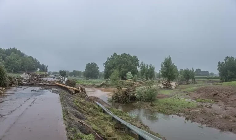 Nova Zelândia: Tempestade atrapalha transporte e deixa milhares sem energia