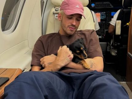 João Guilherme comemora aniversário de pet adotado com Bruna Marquezine, ex-namorada